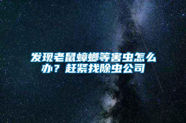 发现老鼠蟑螂等害虫怎么办？赶紧找除虫公司