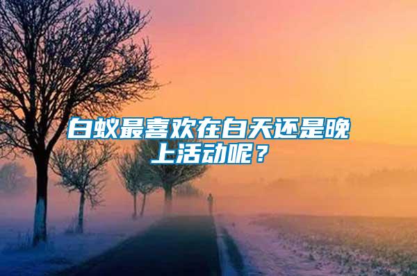 白蚁最喜欢在白天还是晚上活动呢？