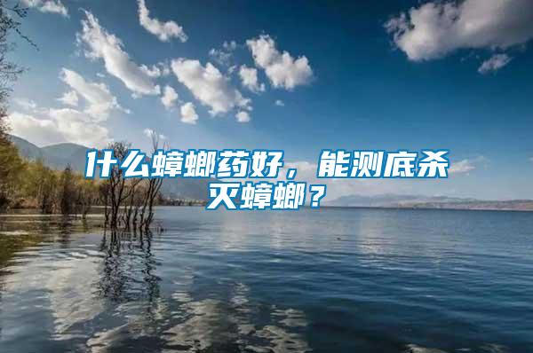 什么蟑螂药好，能测底杀灭蟑螂？