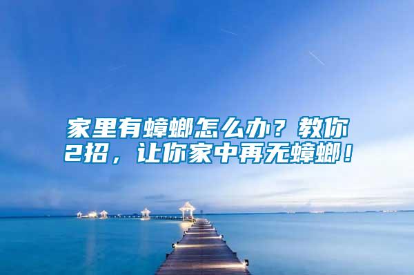 家里有蟑螂怎么办？教你2招，让你家中再无蟑螂！