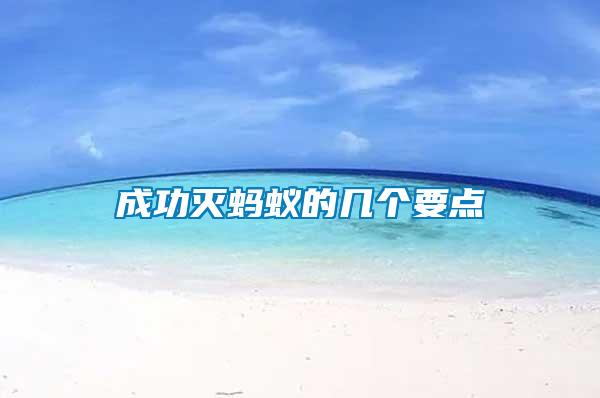 成功灭蚂蚁的几个要点
