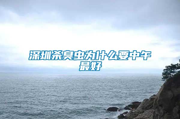 深圳杀臭虫为什么要中午最好