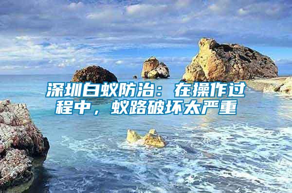 深圳白蚁防治：在操作过程中，蚁路破坏太严重