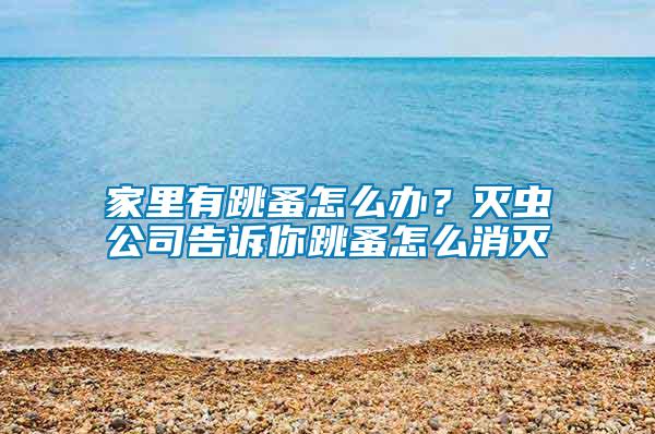 家里有跳蚤怎么办？灭虫公司告诉你跳蚤怎么消灭