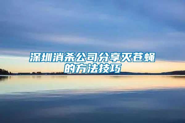 深圳消杀公司分享灭苍蝇的方法技巧