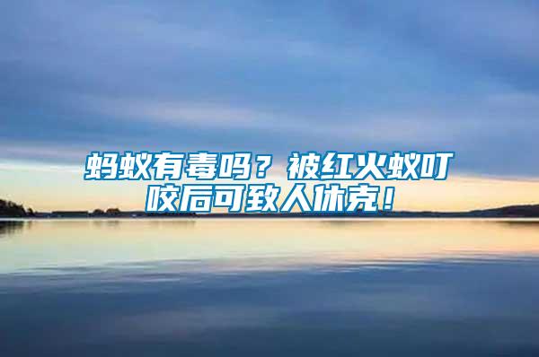 蚂蚁有毒吗？被红火蚁叮咬后可致人休克！