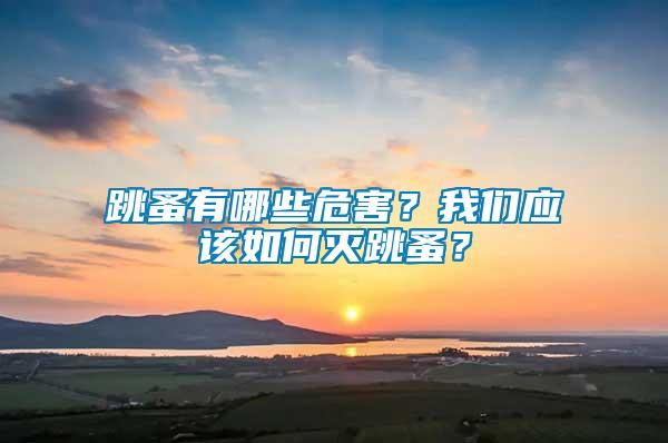 跳蚤有哪些危害？我们应该如何灭跳蚤？