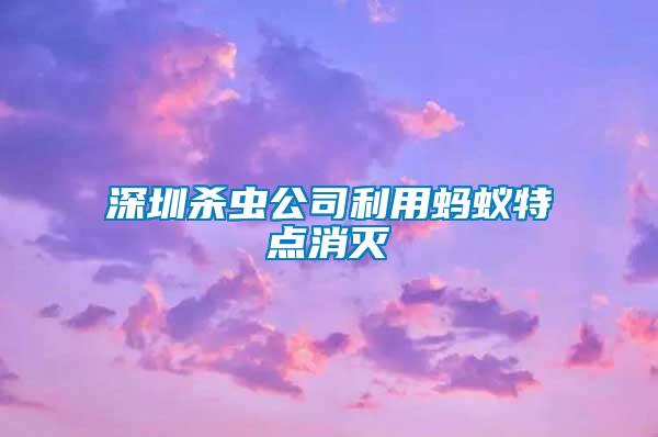 深圳杀虫公司利用蚂蚁特点消灭