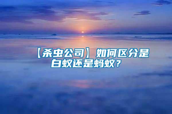 【杀虫公司】如何区分是白蚁还是蚂蚁？