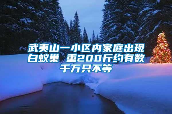 武夷山一小区内家庭出现白蚁巢 重200斤约有数千万只不等