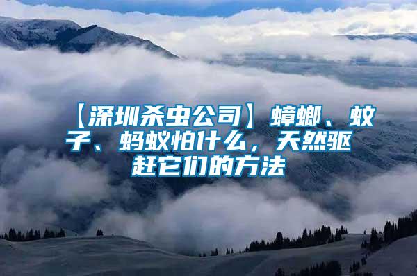 【深圳杀虫公司】蟑螂、蚊子、蚂蚁怕什么，天然驱赶它们的方法