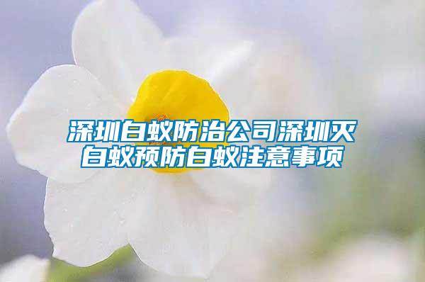 深圳白蚁防治公司深圳灭白蚁预防白蚁注意事项