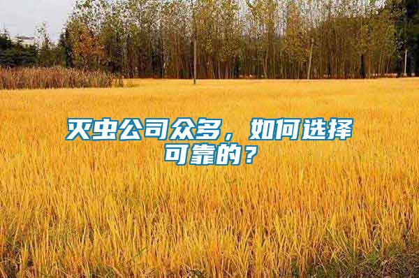 灭虫公司众多，如何选择可靠的？