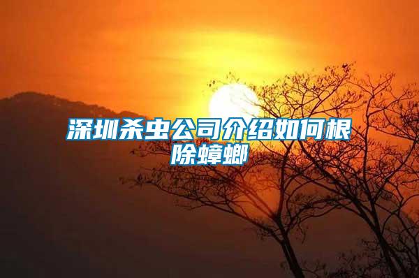 深圳杀虫公司介绍如何根除蟑螂