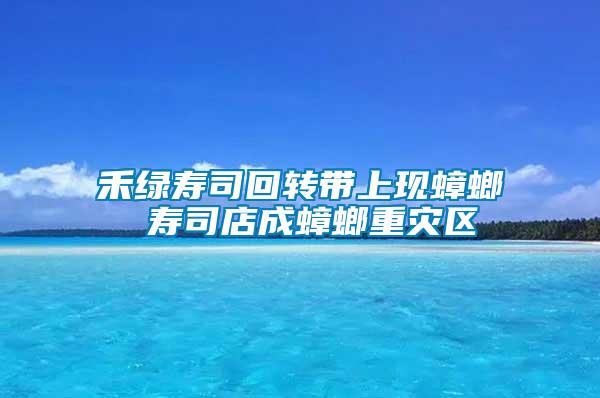 禾绿寿司回转带上现蟑螂 寿司店成蟑螂重灾区