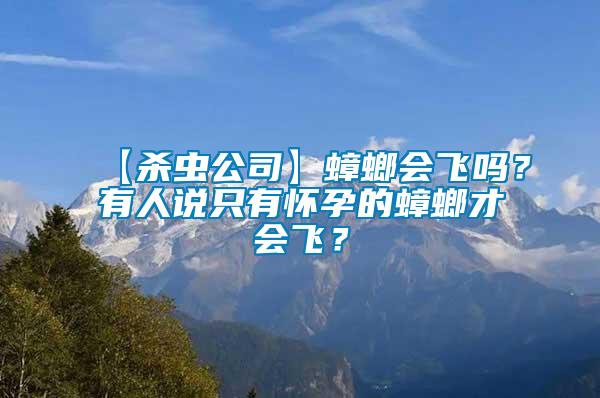 【杀虫公司】蟑螂会飞吗？有人说只有怀孕的蟑螂才会飞？