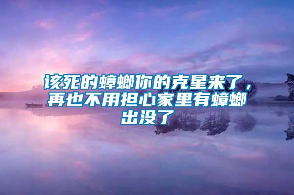 该死的蟑螂你的克星来了，再也不用担心家里有蟑螂出没了