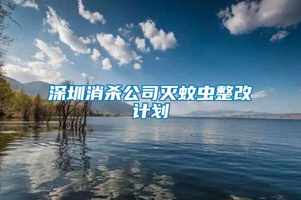 深圳消杀公司灭蚊虫整改计划