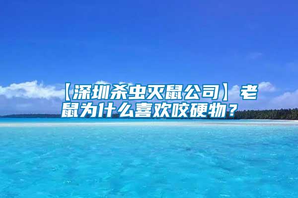 【深圳杀虫灭鼠公司】老鼠为什么喜欢咬硬物？