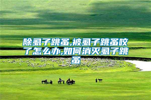 除虱子跳蚤,被虱子跳蚤咬了怎么办,如何消灭虱子跳蚤