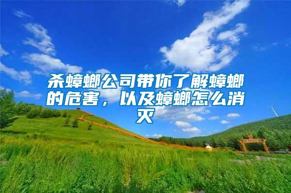 杀蟑螂公司带你了解蟑螂的危害，以及蟑螂怎么消灭