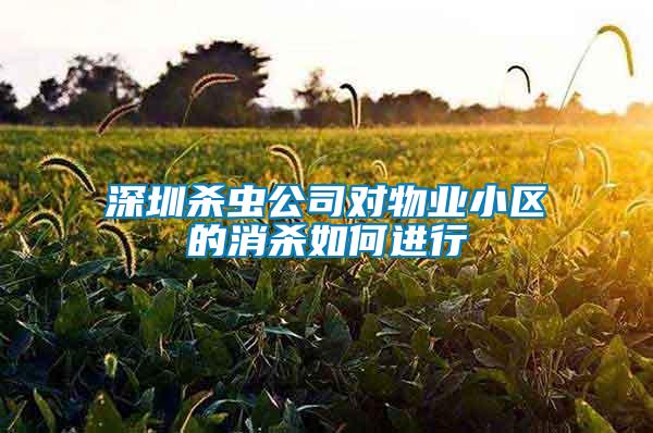 深圳杀虫公司对物业小区的消杀如何进行