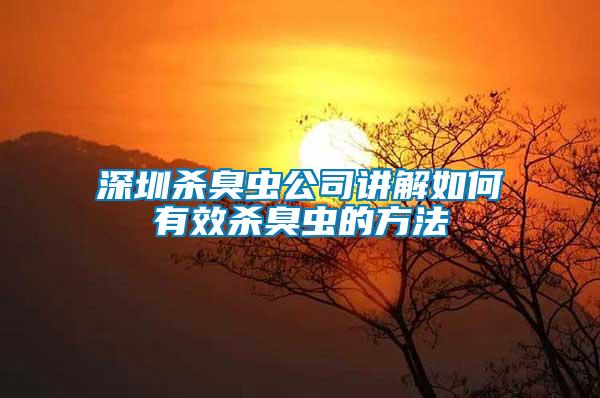 深圳杀臭虫公司讲解如何有效杀臭虫的方法