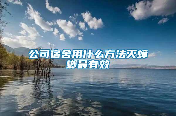 公司宿舍用什么方法灭蟑螂最有效