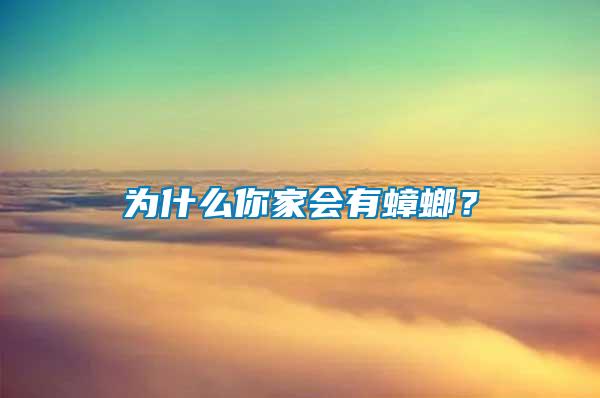 为什么你家会有蟑螂？