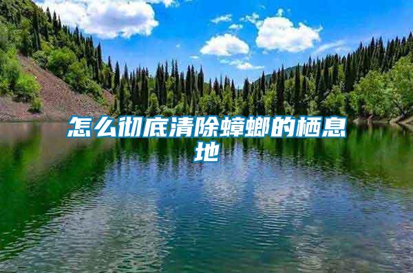 怎么彻底清除蟑螂的栖息地