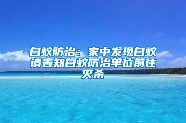 白蚁防治：家中发现白蚁请告知白蚁防治单位前往灭杀