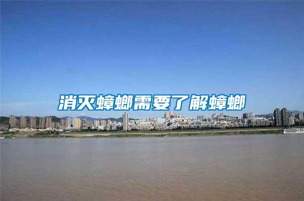 消灭蟑螂需要了解蟑螂
