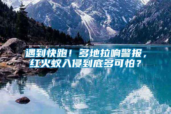 遇到快跑！多地拉响警报，红火蚁入侵到底多可怕？