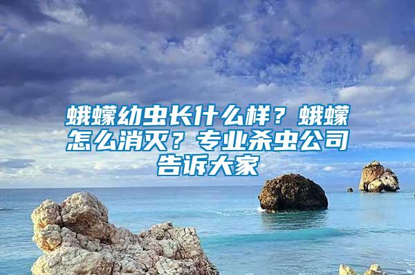 蛾蠓幼虫长什么样？蛾蠓怎么消灭？专业杀虫公司告诉大家