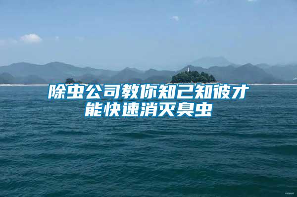 除虫公司教你知己知彼才能快速消灭臭虫
