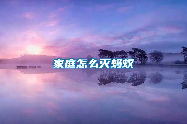 家庭怎么灭蚂蚁
