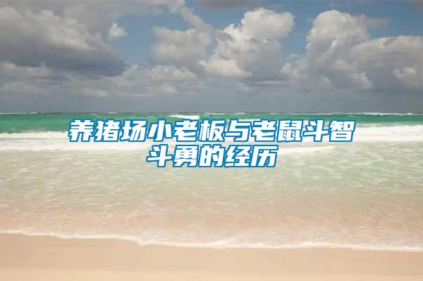 养猪场小老板与老鼠斗智斗勇的经历