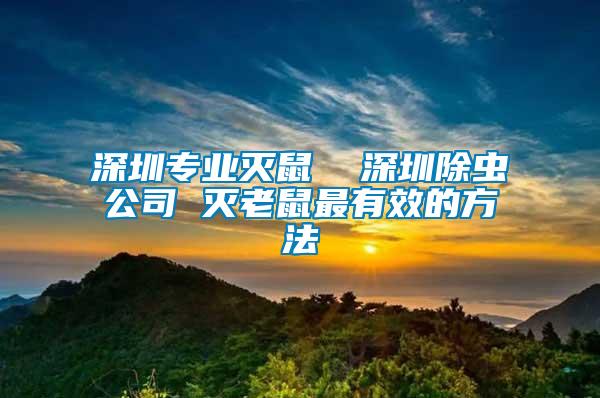 深圳专业灭鼠  深圳除虫公司 灭老鼠最有效的方法