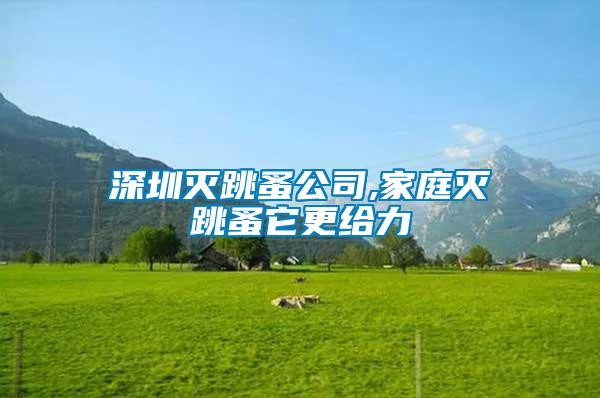 深圳灭跳蚤公司,家庭灭跳蚤它更给力