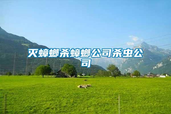 灭蟑螂杀蟑螂公司杀虫公司