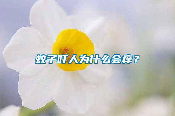 蚊子叮人为什么会痒？