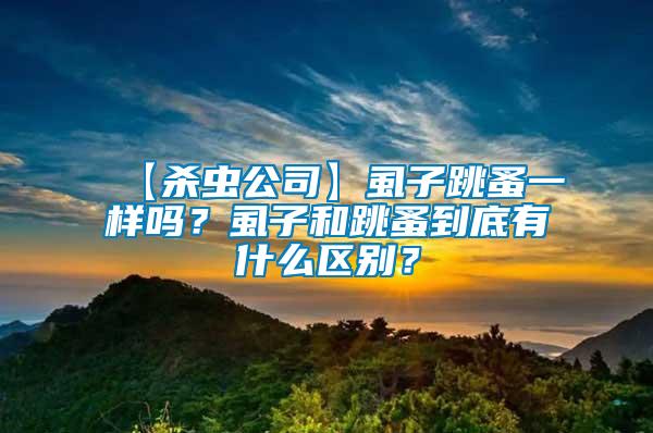 【杀虫公司】虱子跳蚤一样吗？虱子和跳蚤到底有什么区别？