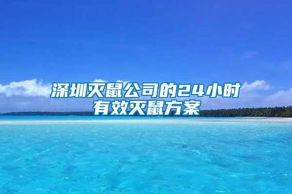 深圳灭鼠公司的24小时有效灭鼠方案