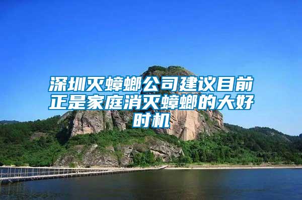 深圳灭蟑螂公司建议目前正是家庭消灭蟑螂的大好时机