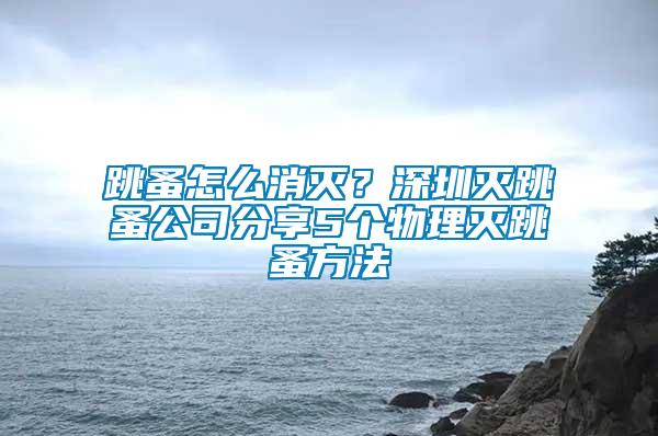 跳蚤怎么消灭？深圳灭跳蚤公司分享5个物理灭跳蚤方法