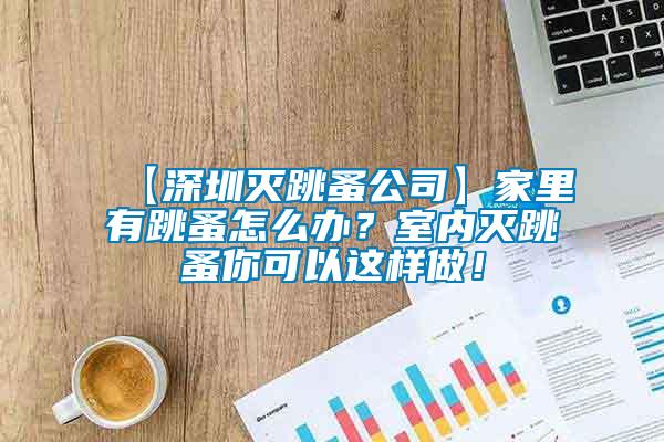 【深圳灭跳蚤公司】家里有跳蚤怎么办？室内灭跳蚤你可以这样做！