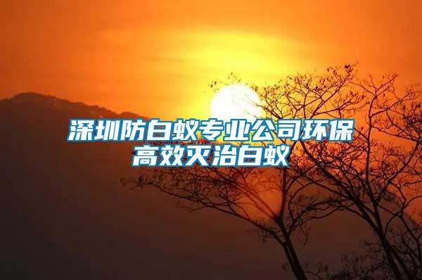深圳防白蚁专业公司环保高效灭治白蚁