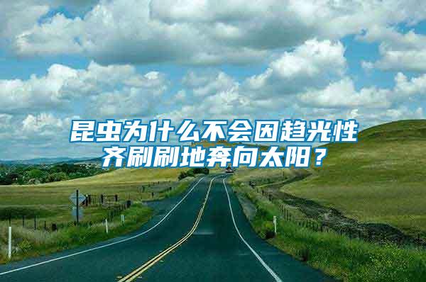 昆虫为什么不会因趋光性齐刷刷地奔向太阳？