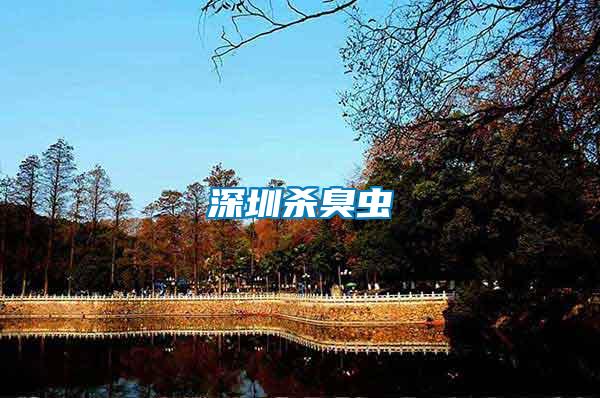 深圳杀臭虫