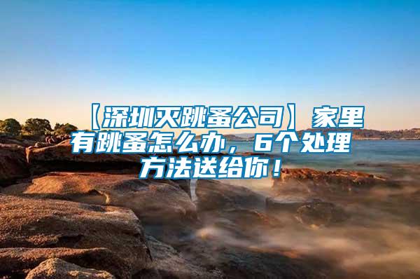 【深圳灭跳蚤公司】家里有跳蚤怎么办，6个处理方法送给你！